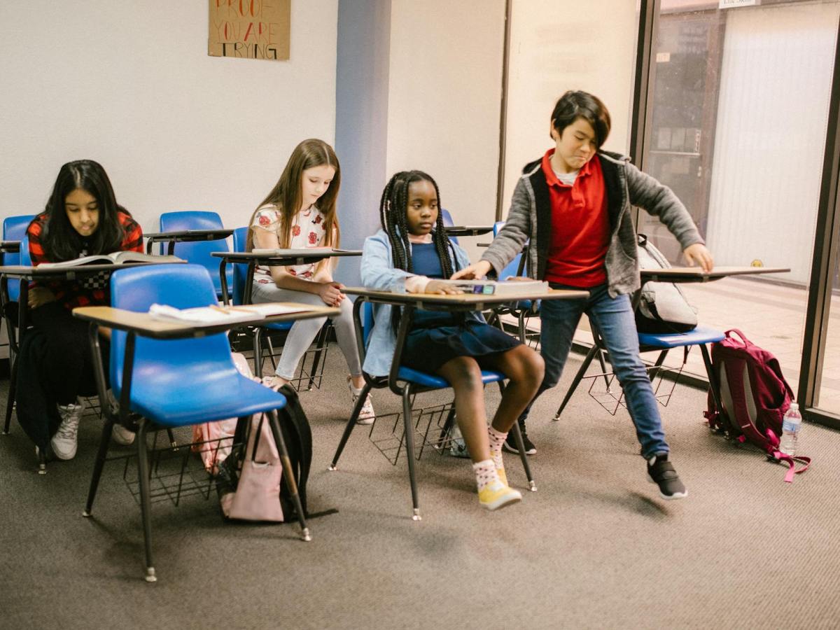 La respuesta física como estrategia ante el&nbsp;bullying